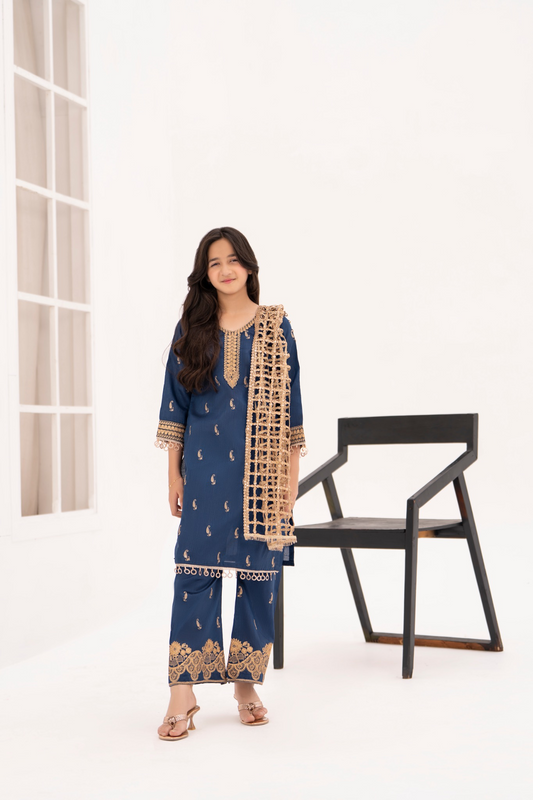 AJ Threads Embroidered Raw Silk Kids Suit with Sheesh Dupatta - Royal Navy KT07